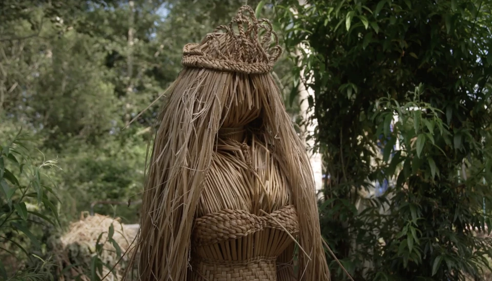 Harvesting Fibres on Lough Derg