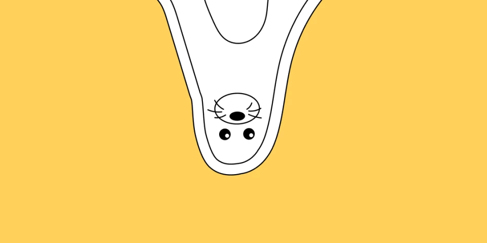 Paper Lantern